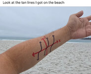 IMG_2847.jpeg