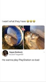 IMG_2849.jpeg