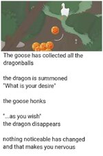 1751914790075.jpeg