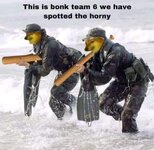 IMG_2923.jpeg