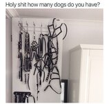 FB_IMG_1748575719058.jpg