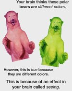 FB_IMG_1753041941767.jpg