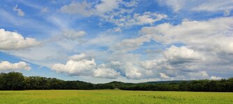 IMG_20250721_101924.jpg