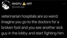 1000425388.jpg