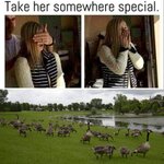 IMG_3073.jpeg