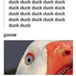 IMG_3082.jpeg