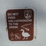 IMG_3094.jpeg
