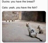 1000448200.jpg