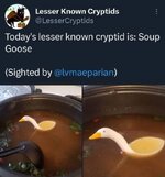 IMG_3149.jpeg