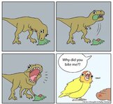 IMG_3156.jpeg