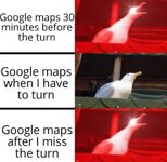 IMG_3173.jpeg