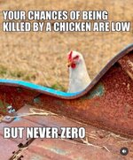 IMG_3174.jpeg
