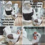 IMG_3175.jpeg