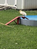 IMG_1573.jpeg