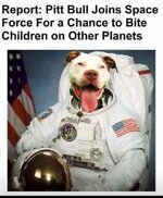 IMG_3224.jpeg