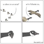 IMG_3226.jpeg