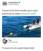 1000468401.jpg