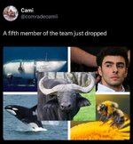 1000468410.jpg
