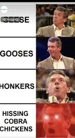 1000474085.jpg