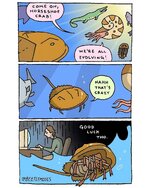 IMG_3272.jpeg