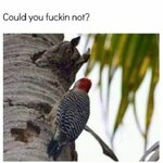 IMG_3273.jpeg
