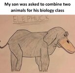 IMG_3291.jpeg