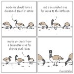 1000474857.jpg