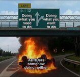 IMG_3305.jpeg