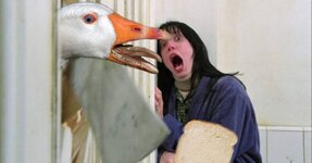 IMG_3320.jpeg