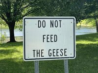 IMG_3321.jpeg