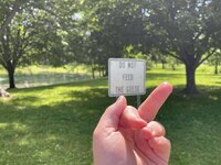 IMG_3322.jpeg
