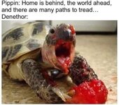 IMG_3325.jpeg