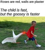 1755550182837.jpeg