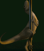 IMG_3336.gif