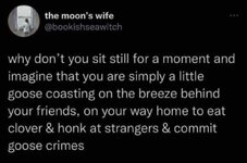 1000475894.jpg