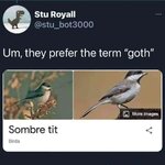 1000015550.jpg