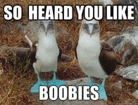 FB_IMG_1756060138226.jpg