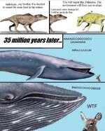 1000015630.jpg