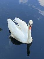 IMG_2066.jpeg