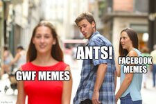1756588764946.jpeg
