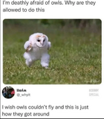 1000015749.png