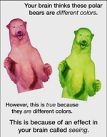 1000015750.png