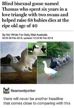1000479011.jpg