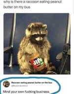 1757670425173.jpeg