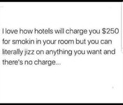 1000480051.jpg