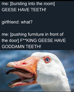 IMG_3463.jpeg