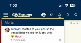 1701821070775.png
