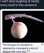 1000001662.jpg